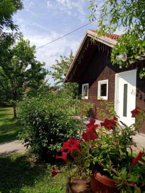 Idila, Bijeljina